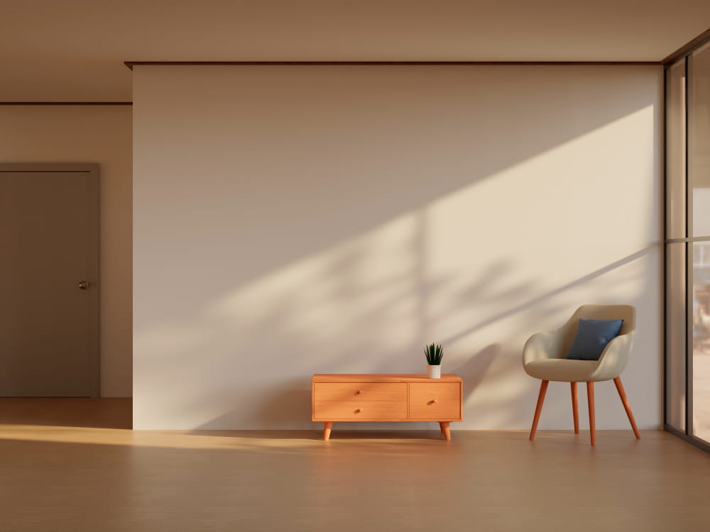 Minimalist Living Spaces